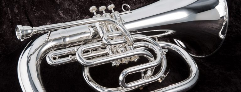 Fröscher Roland Musikschule Region Gürbetal